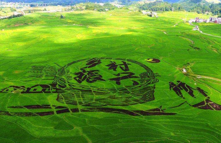 1622467257300419.jpg 1622467257300419.jpg