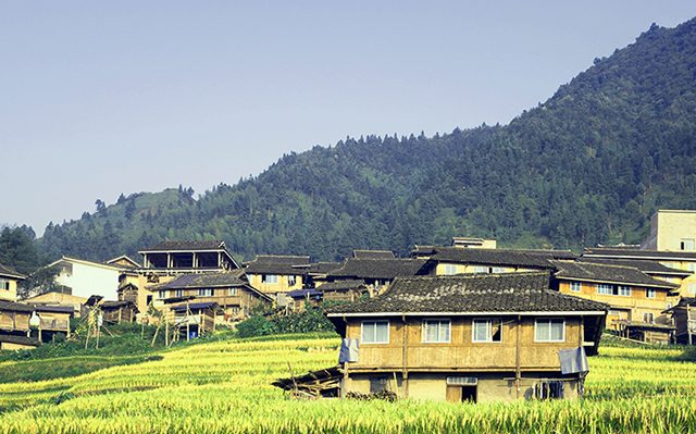 1657781573941749.jpg 1657781573941749.jpg