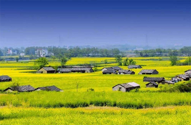 1660037057543318.jpg 6400.jpg