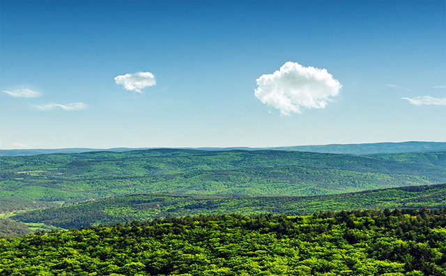 1661738123308196.jpg 640.jpg