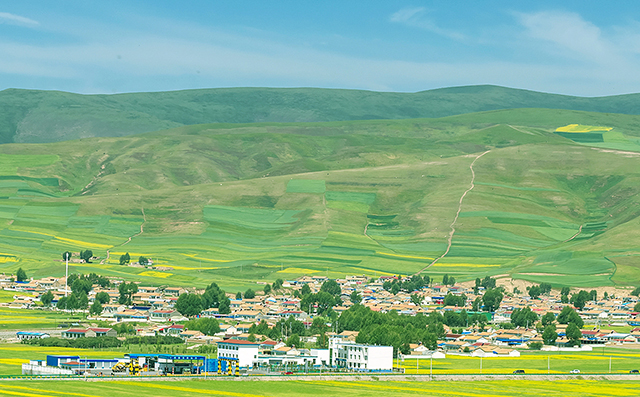 1666864968875610.jpg 640.jpg