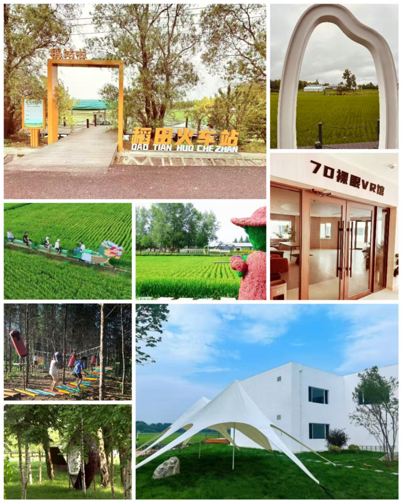 1751872207618226.jpg 1751872207618226.jpg